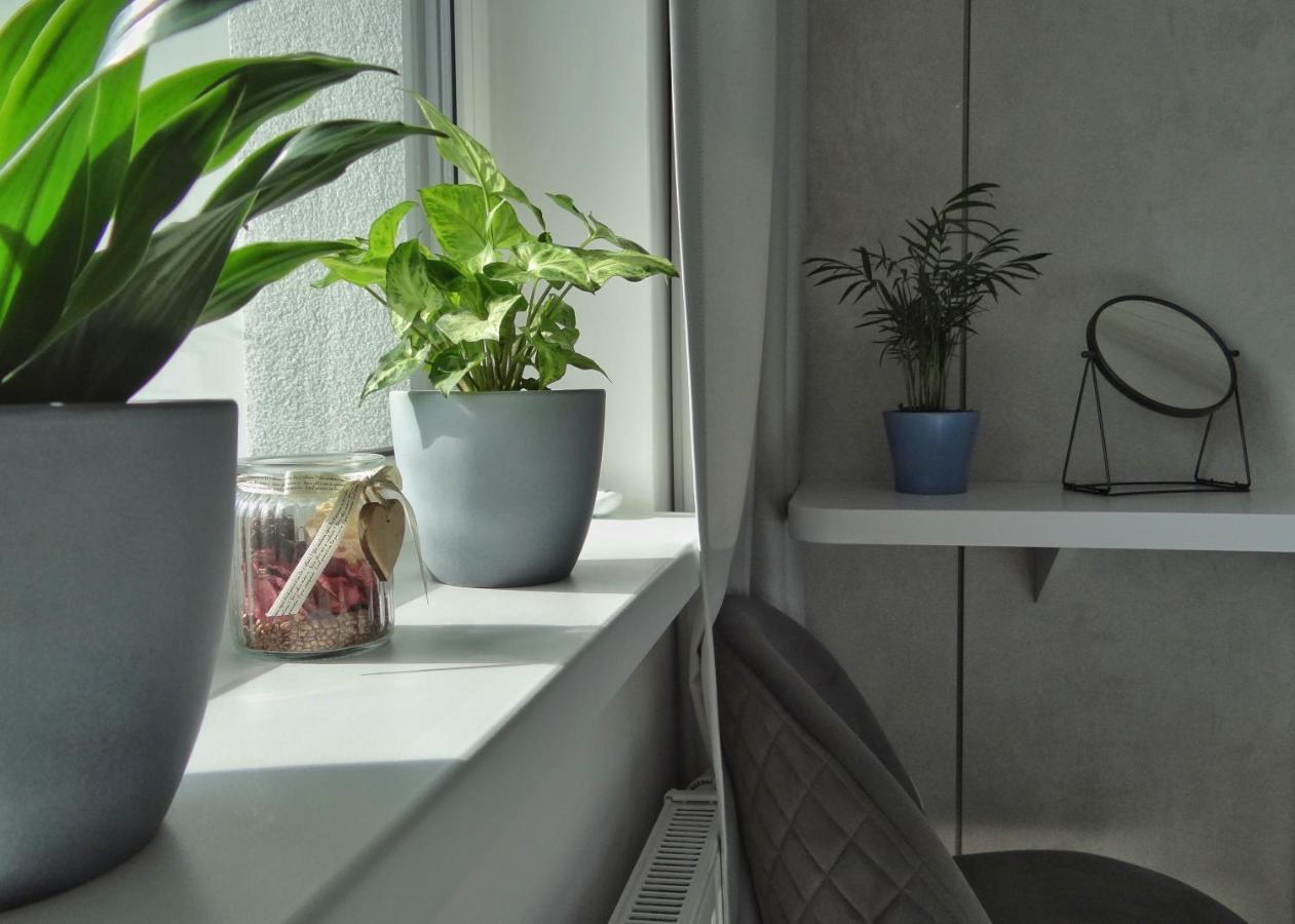Top Urban Apartment - Free Parking, Green Energy, Modern Style Bratysława Zewnętrze zdjęcie